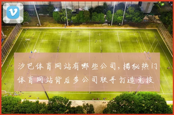 沙巴体育网站有哪些公司,揭秘热门体育网站背后多公司联手打造竞技盛宴